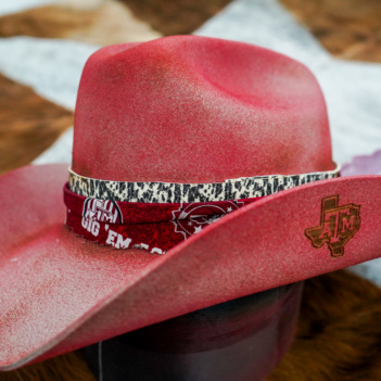 Cowboy Texas A&M Aggies